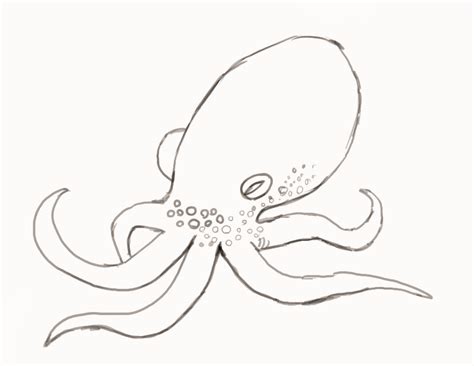 how to draw an octopus step by step octopus drawing octopus sketch easy drawings