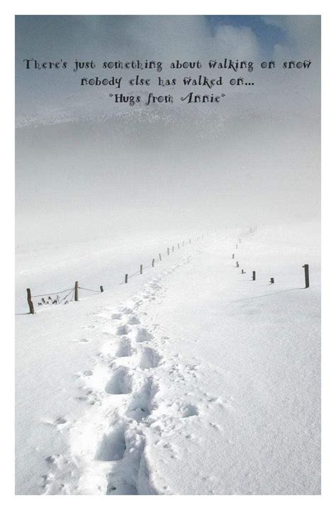 Pin By Cyndy Simons On Montana Mailbox Snow Quotes Funny Quotes