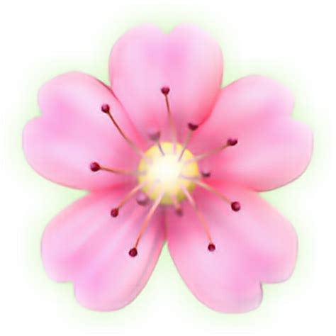 Flower Emoji Png
