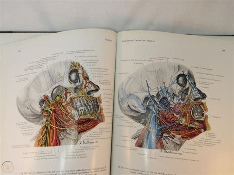 Atlas Of Topographical And Applied Human Anatomy Head And Neck Volume 1