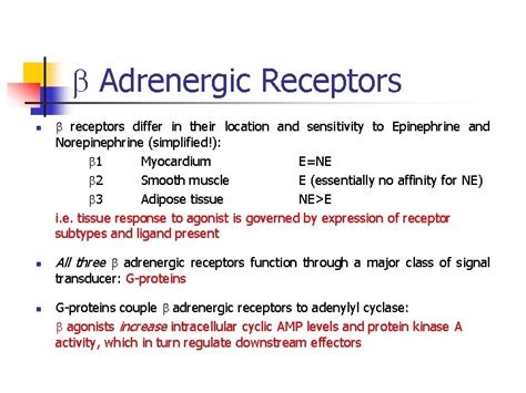 SIGNAL TRANSDUCTION BY ADRENERGIC AND CHOLINERGIC RECEPTORS Andy