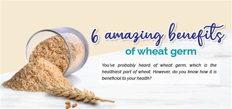 Biogreen2u Online Organic Store 6 Amazing Benefits Of Wheat Germ