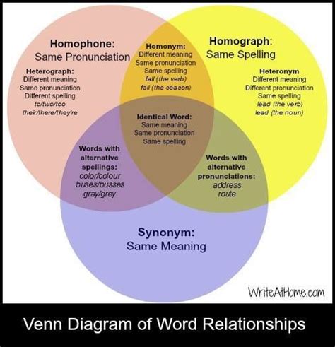 Venn Diagram Of Word Relationships Homophones Homographs And Synonyms