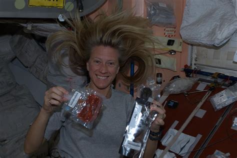Space Photos By Astronaut Karen Nyberg Image Gallery Page 2 Space
