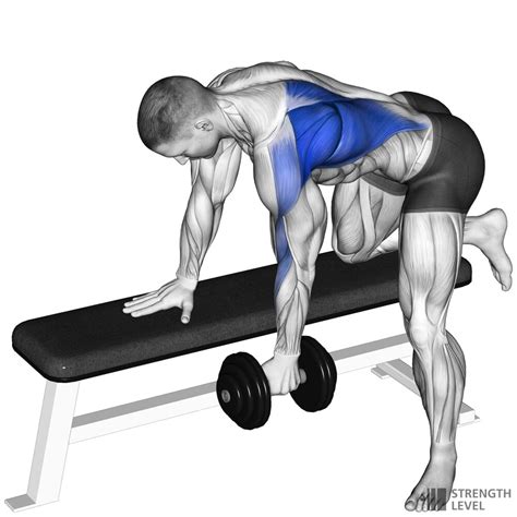 One Arm Bent Over Dumbbell Row