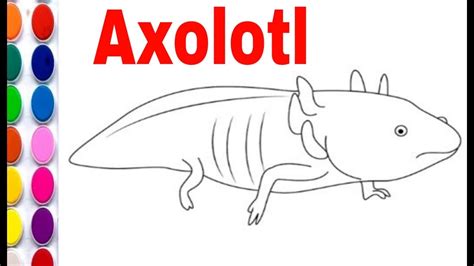 Easy Step Axolotl Drawing How To Draw An Axolotl Step By Step Easy
