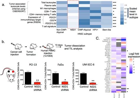Nsd1 Inactivation Defines An Immune Cold Dna Hypomethylated Subtype In