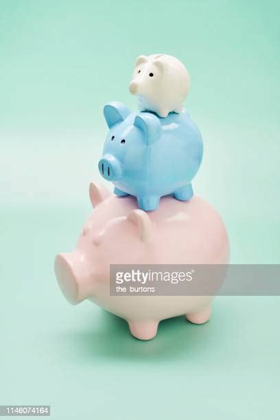 Pig Pile Photos And Premium High Res Pictures Getty Images