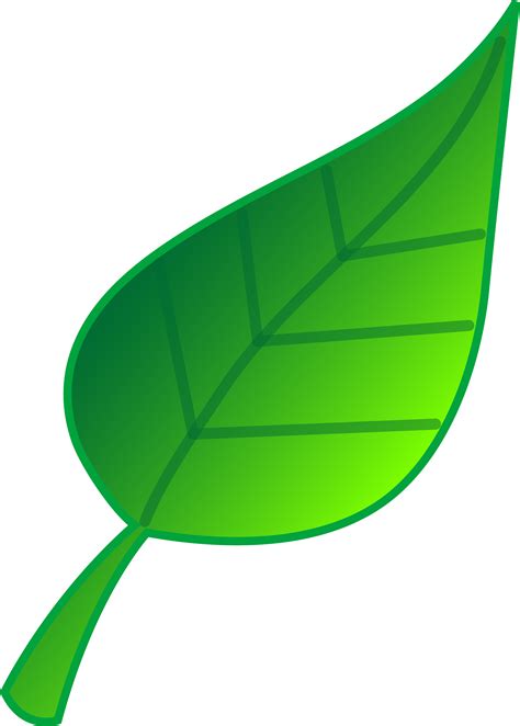 Leaf Animated Leaves Clipart Image Clipartix
