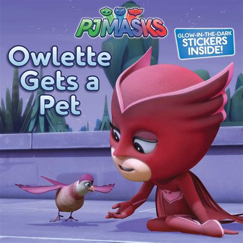 Owlette Gets A Pet Pj Masks Wiki Fandom