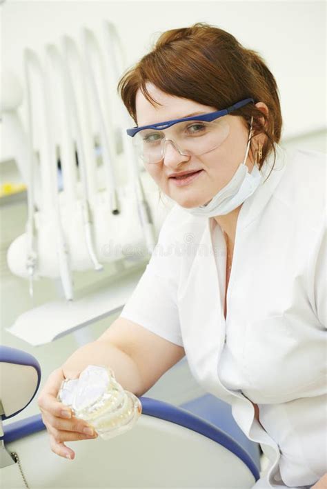 Dentist Orthodontist Portrait Stock Photo Image Of Profession Dental