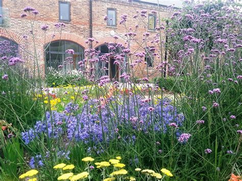 Looking for delivery in ireland and want to pay in euros? Kelli's Northern Ireland Garden: Community Gardening Update