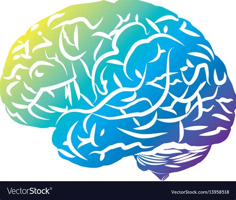 Vector Medical Background With Human Brain Royalty Free Stock Image My Xxx Hot Girl