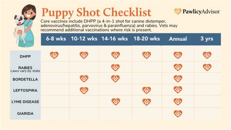 What Shots Do Puppies Need At 3 Months