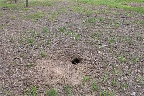 An Open Hole In The Ground With Grass