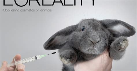 E.K.W.: Beauty's Dark Secret; Animal Testing By Big Brands