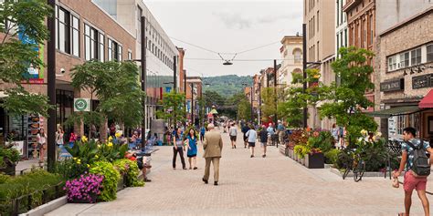 The Ithaca Commons - Agency Landscape + Planning