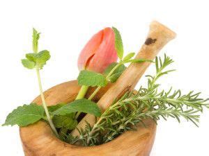Plantas que curan y sanan la diabetes : 5 Remedios Con Plantas Para Curar Y Revertir La Diabetes