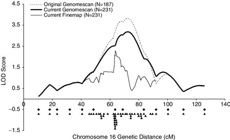 Multipoint linkage analyses on chromosome 16 in 231 SLE ...