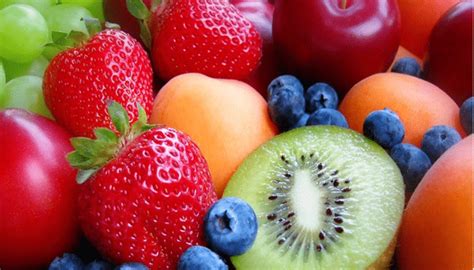 La Función Del Fruto Como Beneficio Para La Naturaleza Y La Agricultura