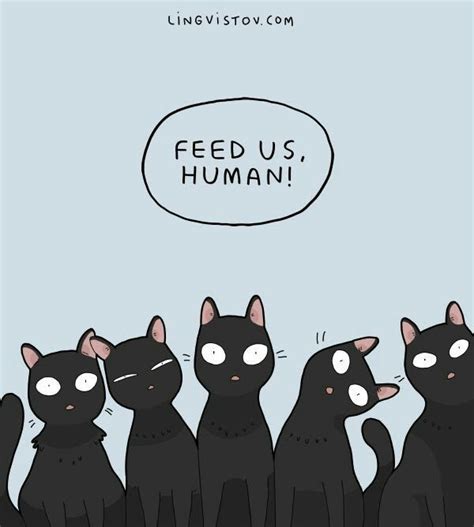 Pin By Randi Tarillion On Black Cats Cats Illustration Cat Comics