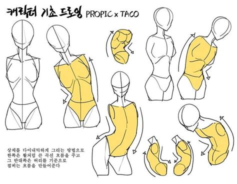 When Drawing The Upper Body Dynamically One Side Will Have A Large
