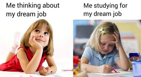 86 Of The Funniest Educational Memes All Students Might Relate To As