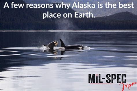 Alaska I Dont Think Anyone Can Truly Grasp This Concept In Mere Words