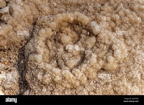 Salt Crystals Of The Dead Sea Israel Stock Photo Alamy