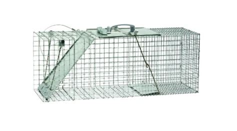 HAVAHART 1085 Easy Set One-Door Cage Trap for Raccoons, Stray Cats