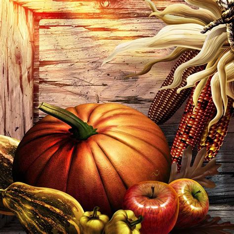 Pumpkin Thanksgiving Wallpapers Wallpaper Cave