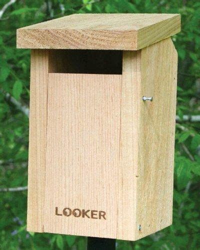 Eastern Bluebird Houses 5 Designs Explained How To Choose World Of