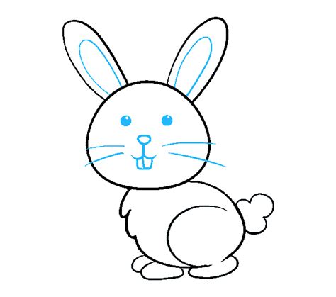 How To Draw A Bunny In A Few Easy Steps Easy Drawing Guides