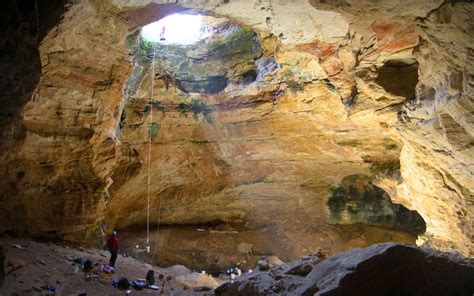 Animals Have Been Falling In This Wyoming Cave For 38000 Years