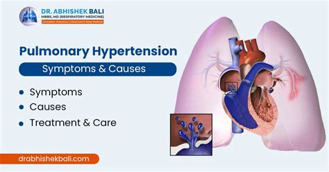 Understanding Pulmonary Hypertension Causes Symptoms And Treatment