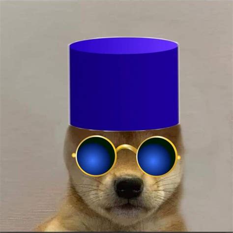 Images By Stilly On Dog With Hat 8d1