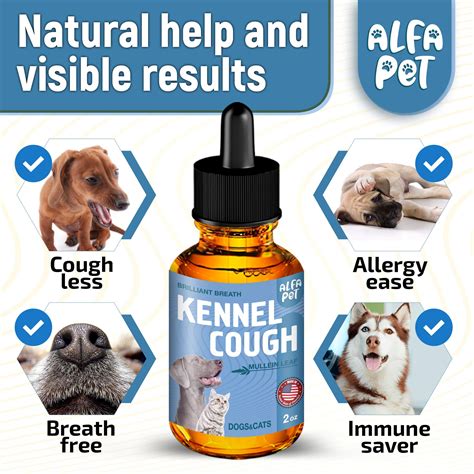 Dog Cough Kennel Cough Dog Allergy Relief Supplements For Dogs