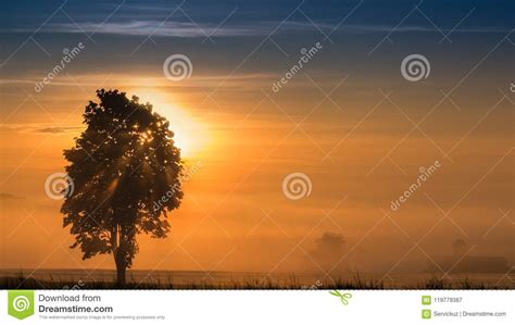 Panoramic Morning Scenery Of Sunrise Over Foggy Meadow Stock Image