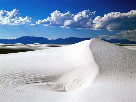 Desierto De Coahuila El Periódico De Saltillo