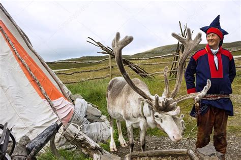 Honningsvag Norway Jun 2 2016 Deer And Reindeer
