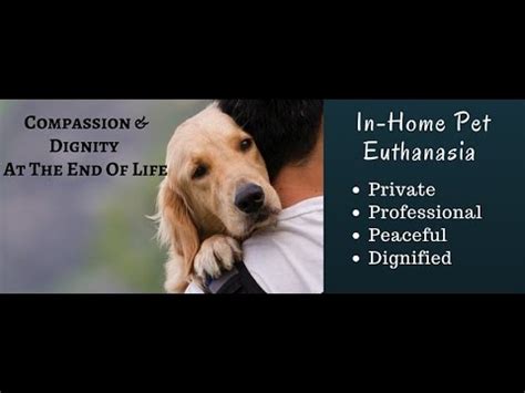 When our beloved pets are at their most vulnerable, the last place they should be is where they feel anxious. In-Home Pet Euthanasia - What To Expect - YouTube