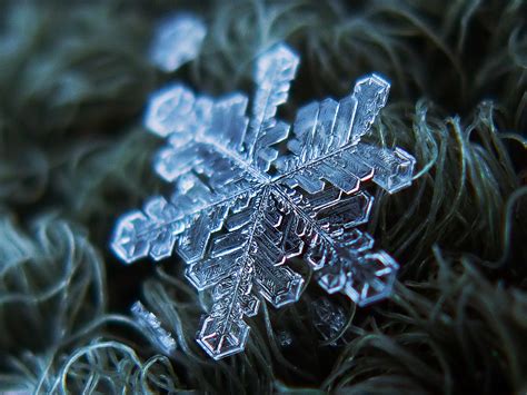 Multimedia Gallery Natures Snowflakes Have Fractal Like Self