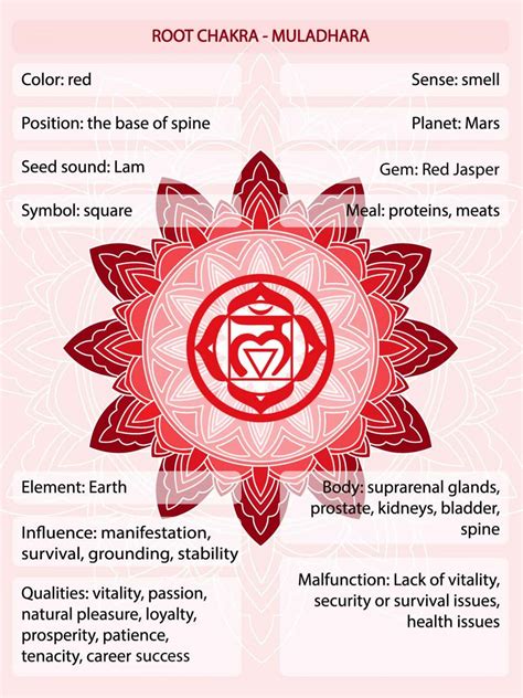 Red Chakra Meaning The Root Chakra Color Explained Colors