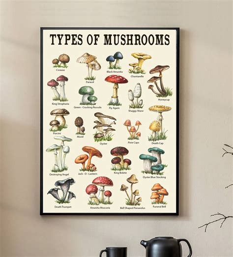 Mushroom Poster Mushroom Chart Poster Types Of Mushrooms Poster
