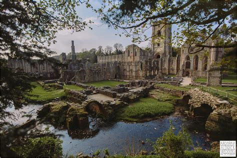 Wedding Photos At Fountains Abbey By A Yorkshire Photographer