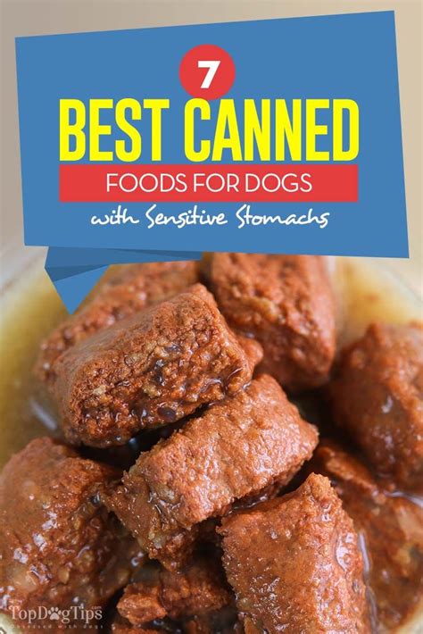 When your pooch has a sensitive stomach, you'll do anything to help them feel better. 7 Canned Dog Foods for Sensitive Stomach | Dog food ...