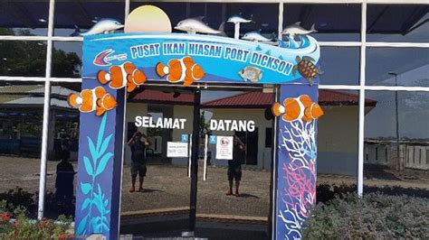 8.30 pagi hingga 4.30 petang. Pusat Ikan Hiasan (Port Dickson) - 2020 All You Need to ...