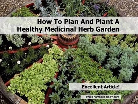 Some years i get excited about my garden. How To Plan And Plant A Healthy Medicinal Herb Garden