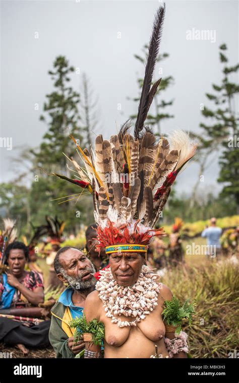 A Half Naked Woman With Impressive Feathers Headdress Mount Hagen