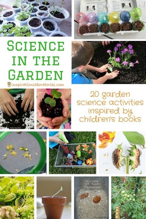 20 Garden Science Activities Inspired By Books Inspiration
